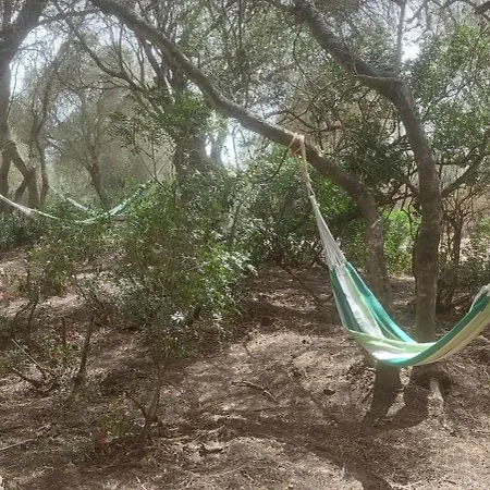 Entreraices וחר דה לה פרונטרה