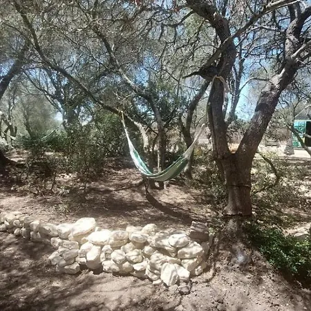 Campsite Entreraices *