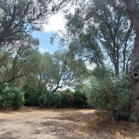 Entreraices Campsite