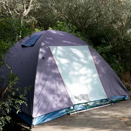 Campsite Entreraices *